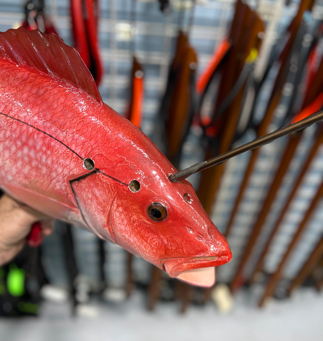 Shot placement- Part 2  "The Unicorn Shot"