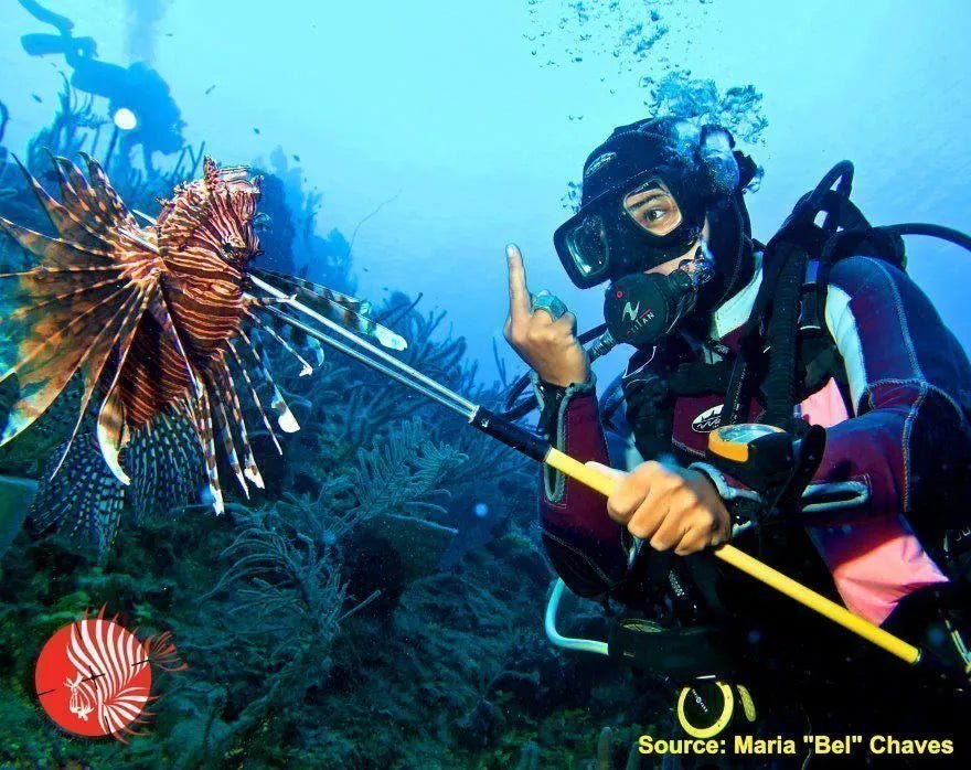 StingMaster Lion Fish Venom Treatment | Spear Gods